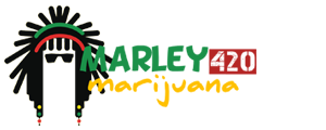 Marley 420 Marijuana